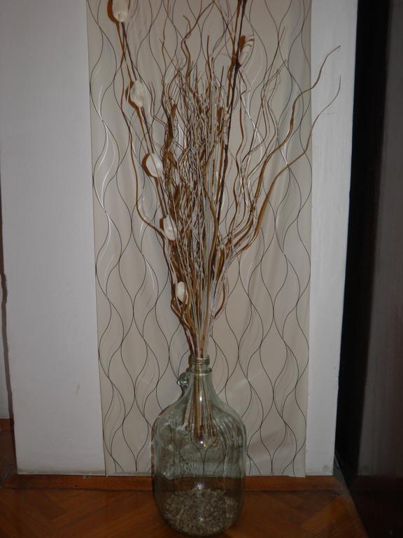 Apartment Nevia A/5 Porec Ngoại thất bức ảnh